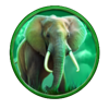 egglink silver pride elephant symbl
