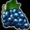 egt digital 40 super hot jackpot grape symbol