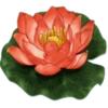 eight immortals lotus symbol