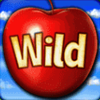 einstein eureka moments deluxe wild2 symbol
