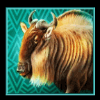 elephant stampede ox symbol