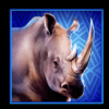 elephant stampede rhino symbol