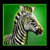 elephant stampede zebra symbol