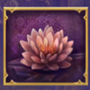 emperor of india lotus symbol
