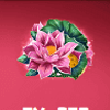 empress88 lotus symbol