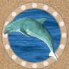 endless summer dolphin symbol