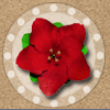 endless summer flower symbol