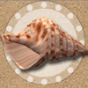 endless summer shell symbol