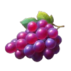 enjoy the lightning grape symbol