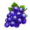 epic crown 5 booster grapes symbol
