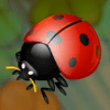 espresso games lucky 7 lady bug symbol