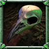 eternal dusk skull symbol