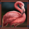 eurasian gaming big game safari flamingo symbol