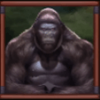 eurasian gaming big game safari gorilla symbol