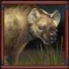eurasian gaming big game safari hyena symbol