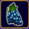 euro games technology 40 super hot grapes symbol