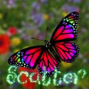 fairy dust forest scatter symbol