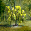 fairy dust forest tree symbol