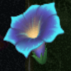 fairy fantasy exotic wilds blue flower symbol