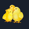 farm charm chicken symbol