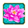 feng shui double fortune lotus symbol