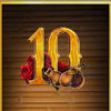 feria loca 10 symbol