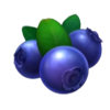 fiery slots cash mesh berry symbol