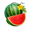 fiery slots cash mesh watermelon symbol