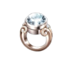 filthy stinkin rich ring symbol