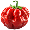 fire chilli symbol 1