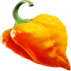 fire chilli symbol 2