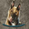 fire dragon dog symbol