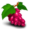 fire fruits fusion symbol 4