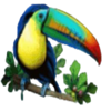 fire goddess toucan symbol