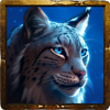 fire lion 2 cat symbol