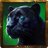 fire lion 2 panther symbol