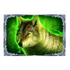 fire queen 2 wolf symbol