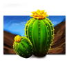 fire stampede cactus symbol