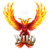 firebird double 27 wild symbol