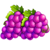 flaming luck 27 classic series grapes symbol