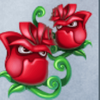 flowers powerpoints rose double symbol