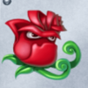 flowers powerpoints rose symbol