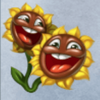 flowers powerpoints sunflower double symbol