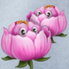 flowers powerpoints tulip double symbol