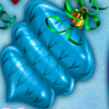 follow the star blue symbol