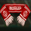 football frenzy comforter symbol
