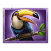 forbidden temple power hit toucan symbol