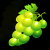 forest of wealth grapes symbol