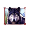 fort knox wolf run wolf 1 symbol