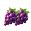fortune bags grapes symbol